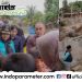 Walikota Eva Dwiana Prioritaskan Normalisasi Sungai dan Infrastruktur Pasca Banjir