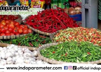 Monitoring Pasar, Disdag Metro Pastikan Stabilitas Harga dan Ketersediaan Stok Bahan Pangan