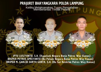 Tiga Personel Polres Way Kanan Gugur Tertembak Saat Pengerebekan Judi Sabung Ayam