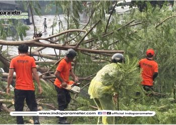 Hujan Lebat Disertai Angin Kencang Tumbangkan Pohon Besar di Jalan Sisingamangaraja Bandar Lampung