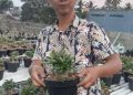 PPM Lampung Kunjungi UMKM Bunga Adenium