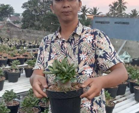 PPM Lampung Kunjungi UMKM Bunga Adenium