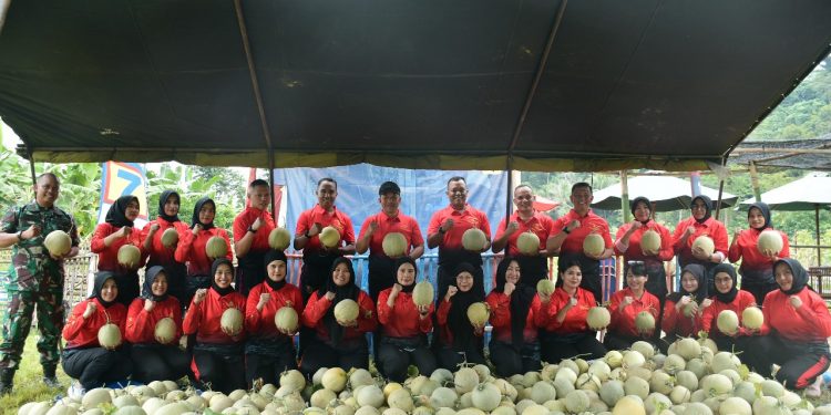 Danbrigif 4 Marinir/BS dan Ketua Cabang 7 PG Kormar Panen Melon di Yonif 7 Marinir